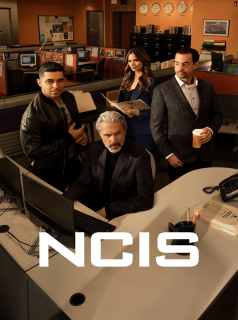NCIS : Enquêtes spéciales saison 14
