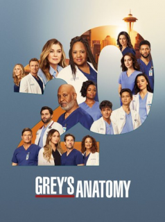 Grey's Anatomy saison 11
