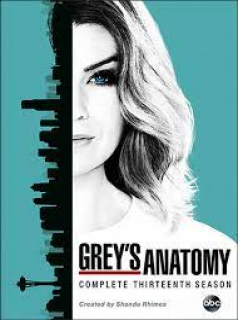 Grey's Anatomy saison 12