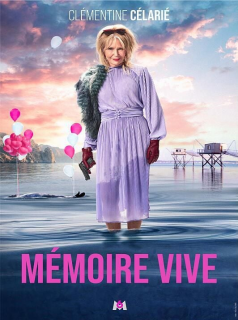 Mémoire vive streaming