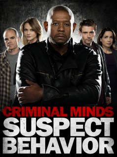 Esprits criminels saison 14