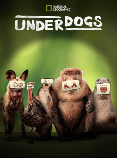 Les outsiders du monde animal streaming Les outsiders du monde animal streaming