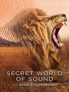 Secret World of Sound with David Attenborough streaming