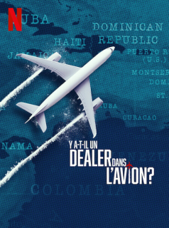 Y'a-t-il un dealer dans l'avion ? streaming