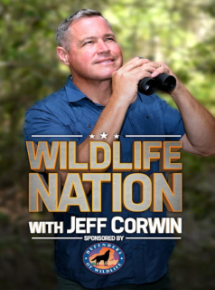Wildlife Nation with Jeff Corwin streaming